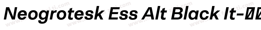 Neogrotesk Ess Alt Black It字体转换